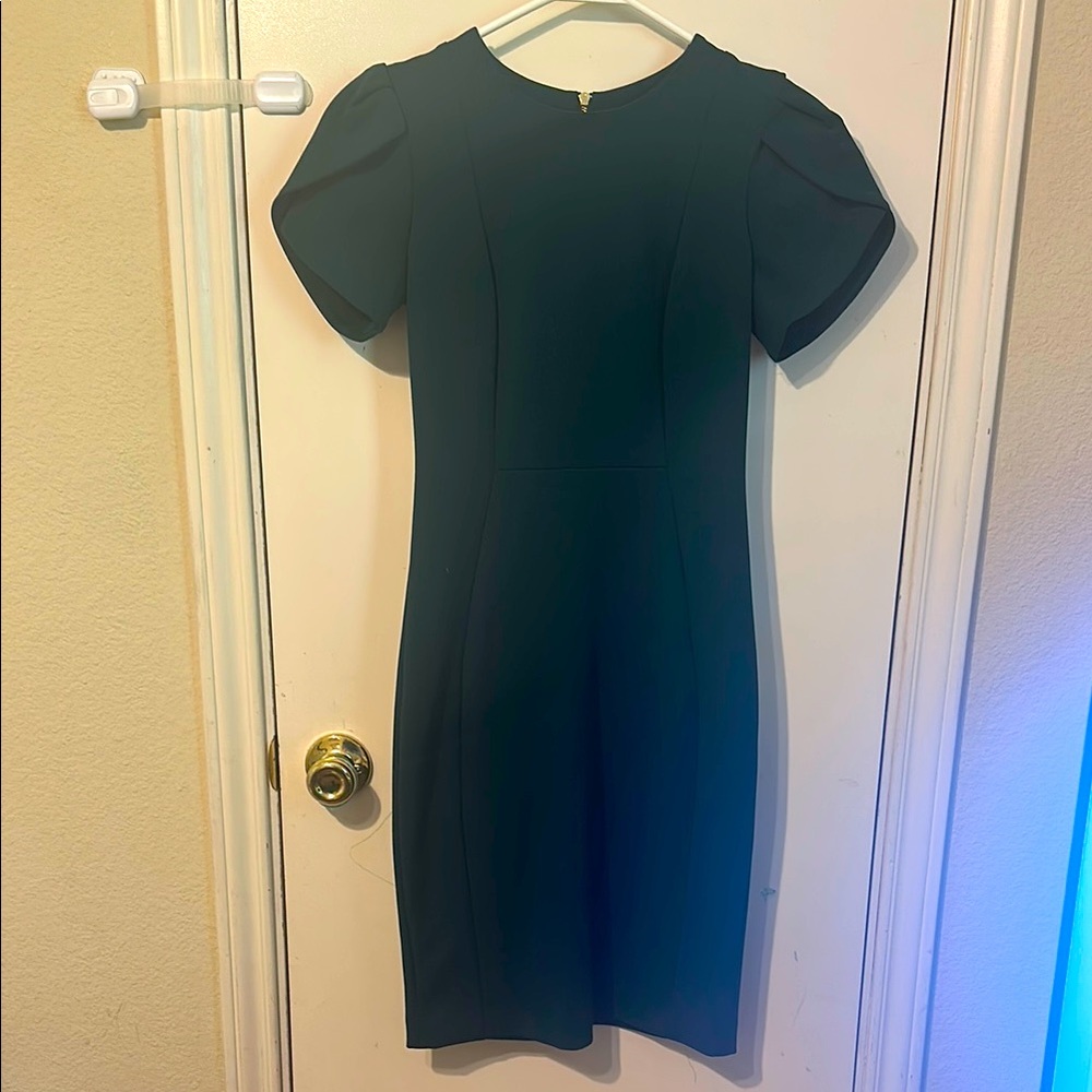 Calvin Klein Green Puff Sleeve Sheath Dress